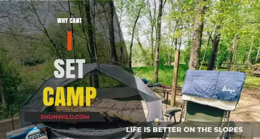 Exploring the Challenges of Setting Up Camp in the Wild
