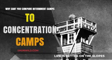 Internment vs. Concentration Camps: Understanding the Critical Differences