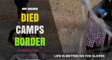 Tragic Realities: Understanding the Devastating Impact of Border Camps on Children