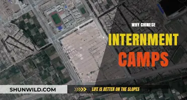 Unveiling the Truth: The Harrowing Reality of Chinese Internment Camps