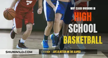 Class Divisions in High School Basketball: A Social Barrier?