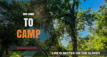 Unforgettable Adventures Await: Why You Should Come to Camp