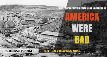 Injustice Unveiled: The Devastating Impact of Japanese Internment Camps