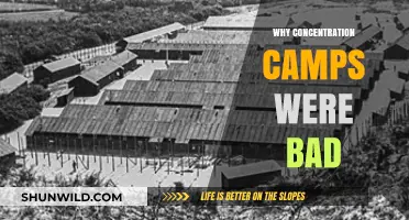 The Horrors of Concentration Camps: A Dark Chapter in History