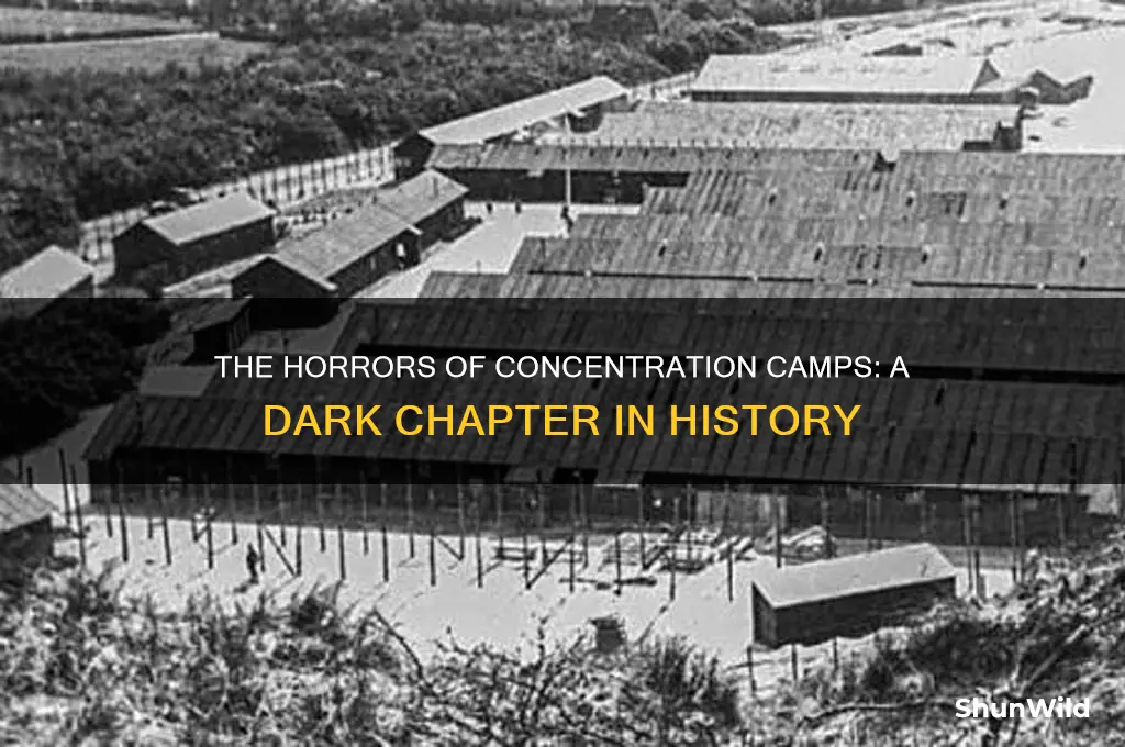 why concentration camps were bad