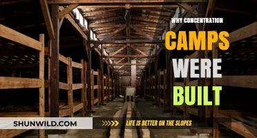 The Dark Origins of Concentration Camps: A Historical Analysis