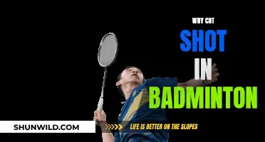 Cut Shot: Badminton's Secret Weapon