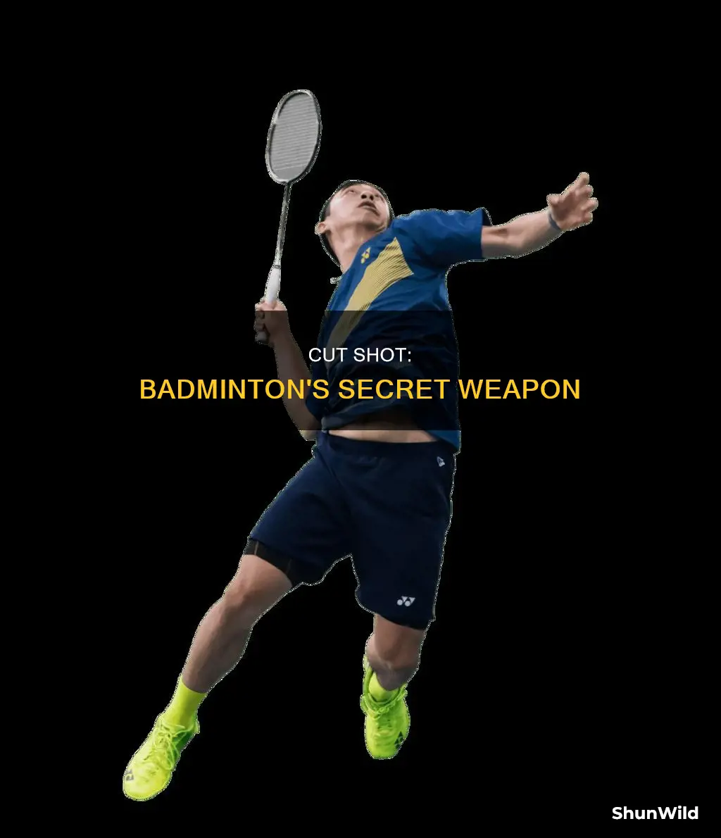 why cut shot in badminton