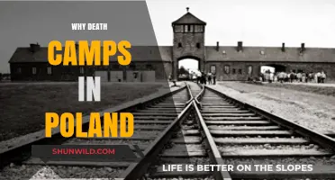 Unveiling the Horrors: Poland's Death Camps in Historical Context
