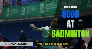 Denmark's Badminton Success: Secrets Unveiled