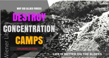 Allied Forces' Decision to Destroy Concentration Camps: Reasons and Impact