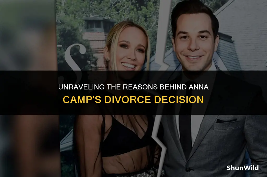 why did anna camp divorce