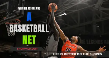 Unraveling Assane's Mystery: The Basketball Net's Purpose