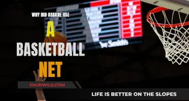 Assane's Basketball Net: A Creative Ploy for Masterful Escape