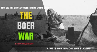 Britain's Boer War Concentration Camps: A Dark Historical Legacy