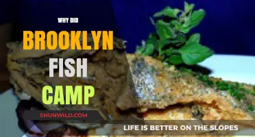 Unraveling the Mystery: Why Did Brooklyn Fish Camp Cease to Exist?