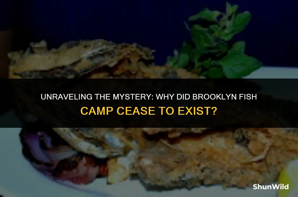 why did brooklyn fish camp
