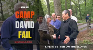 Unraveling the Collapse: The Untold Story of Camp David's Failure