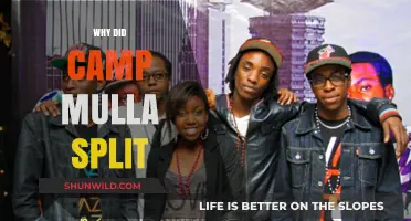 Unraveling the Reasons Behind Camp Mulla's Split: A Deep Dive