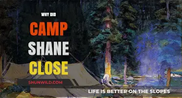 The Untold Story Behind Camp Shane's Closure: A Deep Dive