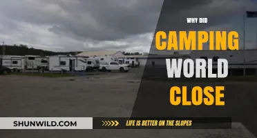 Exploring the Reasons Behind Camping World's Closure