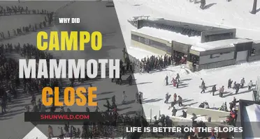 The Untold Story Behind Campo Mammoth's Closure: A Deep Dive
