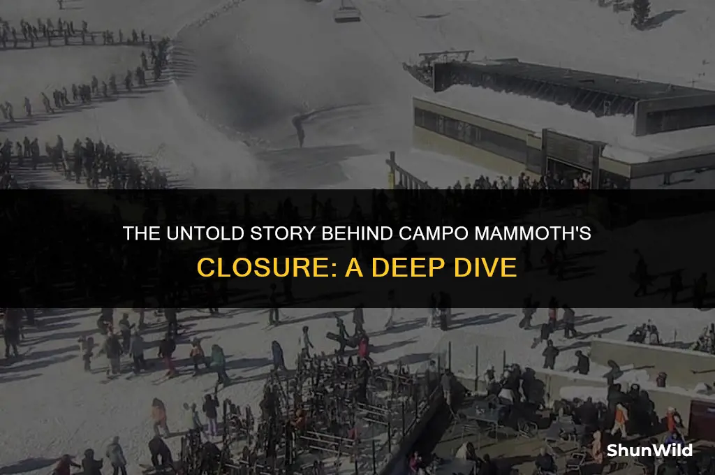 why did campo mammoth close