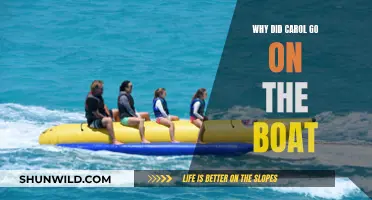 Carol's Boat Trip: An Unexpected Adventure