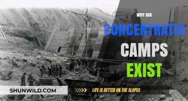 The Dark History and Purpose of Concentration Camps Explained