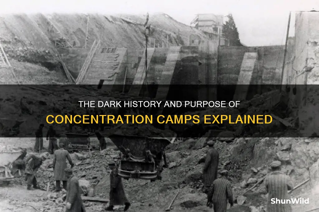 why did concentration camps exist