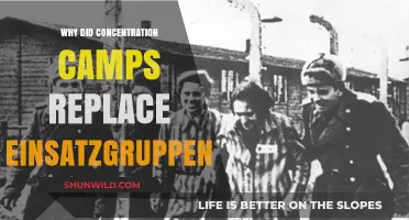 From Einsatzgruppen to Camps: The Evolution of Nazi Extermination Methods