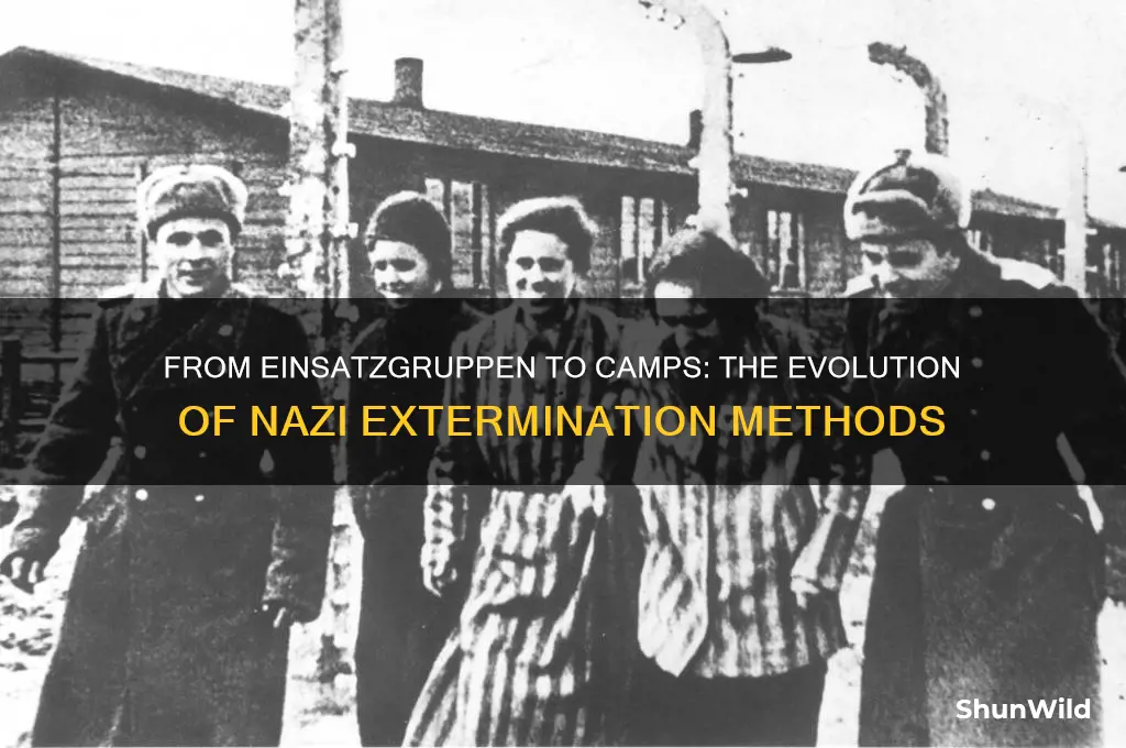 why did concentration camps replace einsatzgruppen