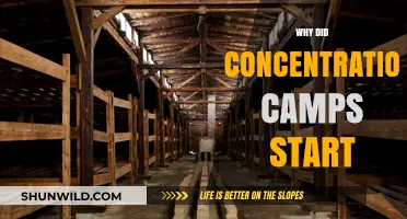 Origins of Concentration Camps: A Dark History Unveiled
