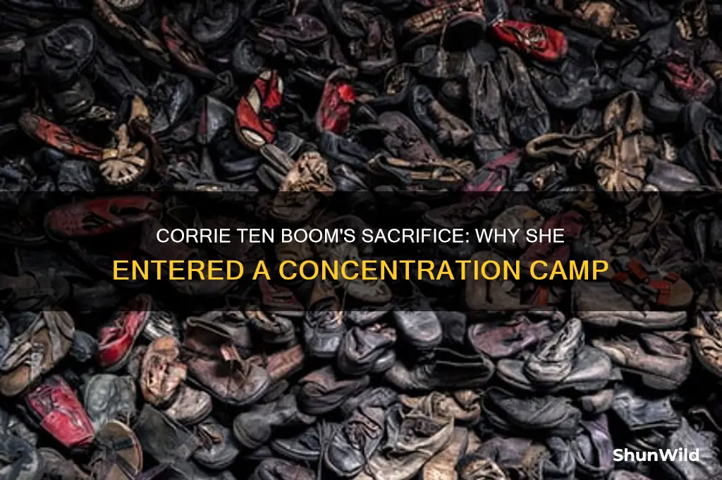 why did corrie ten boom go into concentration camp