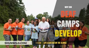 Unveiling the Historical Roots and Evolution of Deaf Camps