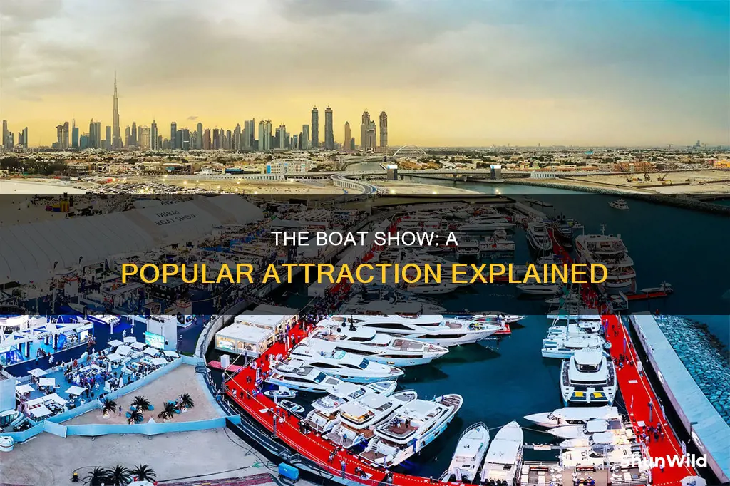 why did everybody go to the boat show answer key