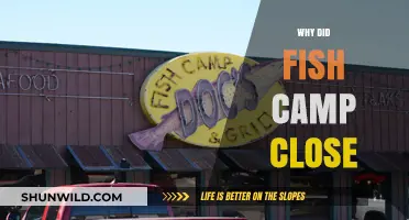 The Untold Story Behind Fish Camp's Closure: A Deep Dive