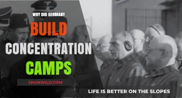 Germany's Concentration Camps: Origins, Purpose, and Historical Context Explained
