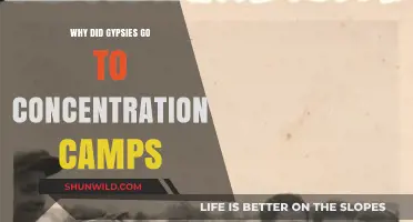 Persecution of Romani People: The Tragic Reason Gypsies Faced Concentration Camps