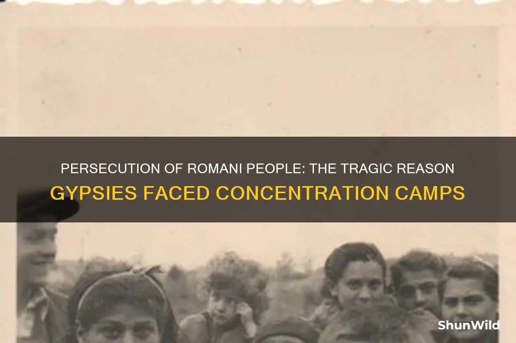 why did gypsys go to concentration camps