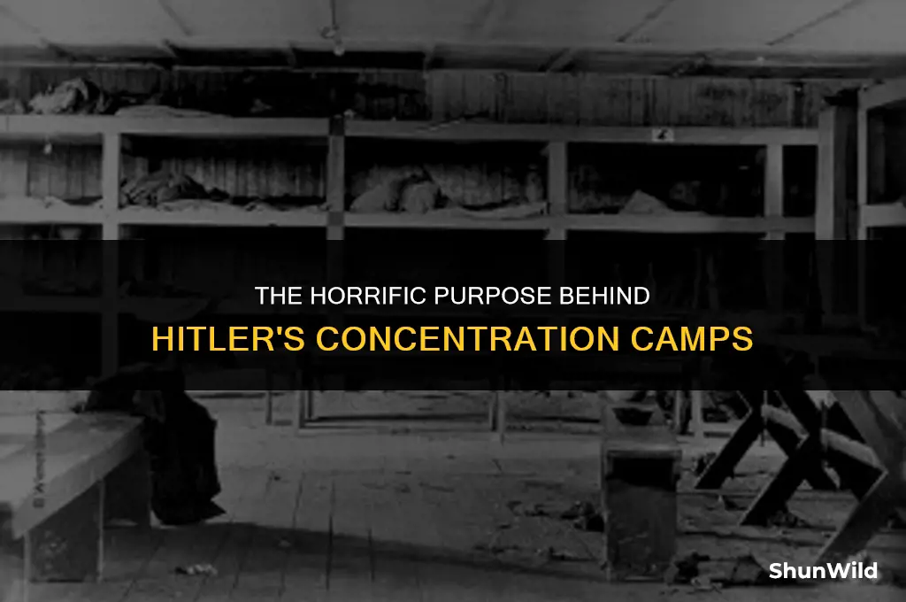 why did hitler create camps