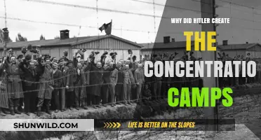 Hitler's Concentration Camps: Origins, Purpose, and Devastating Legacy
