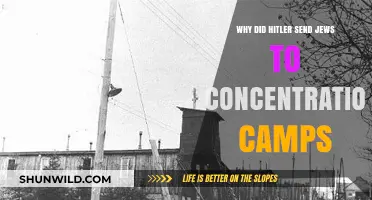 Hitler's Genocide: The Systematic Persecution of Jews in Concentration Camps