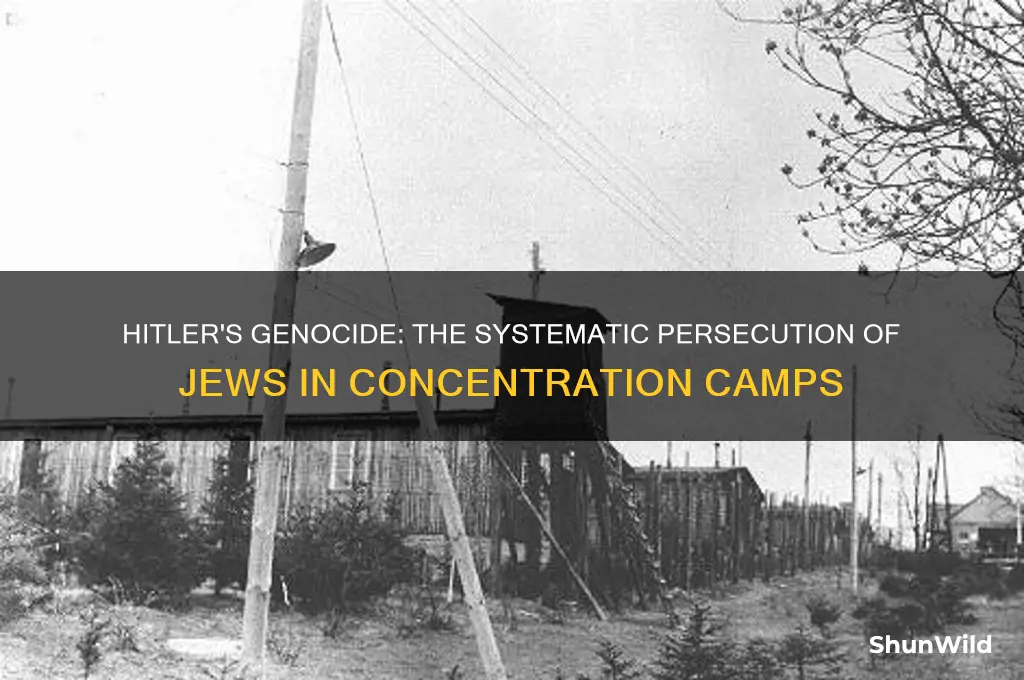 why did hitler send jews to concentration camps