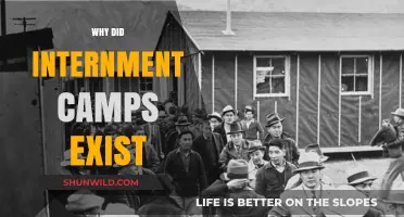 Unveiling the Dark History: The Existence of Internment Camps