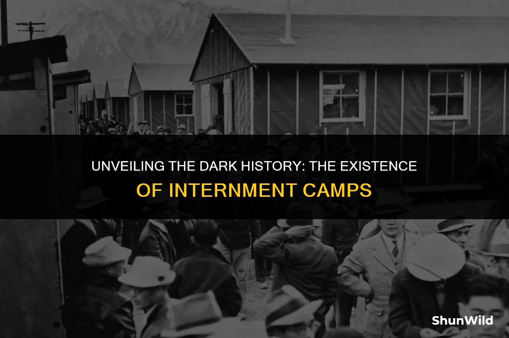 why did internment camps exist
