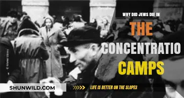 The Holocaust's Dark Legacy: Understanding Jewish Suffering in Concentration Camps