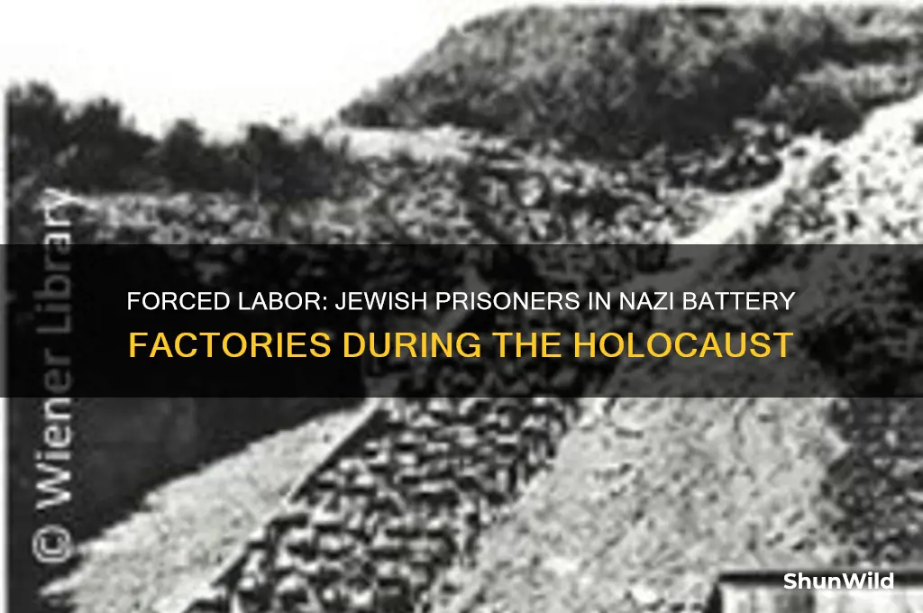 why did jews work in battery factories in concentration camps