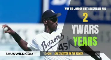 Michael Jordan's Two-Year Hiatus: Why?