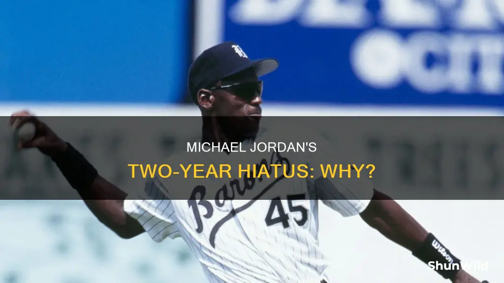 why did jordan quit basketball for 2 ywars years